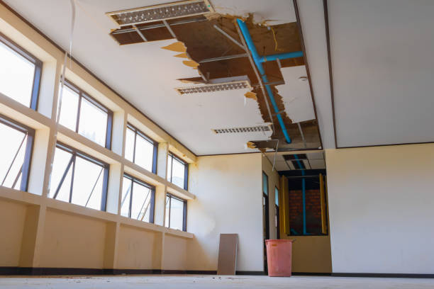 Best Water damage contractors near me  in Camp Hill, AL