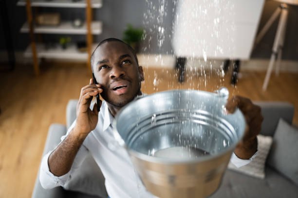 Best Carpet water damage restoration  in Camp Hill, AL