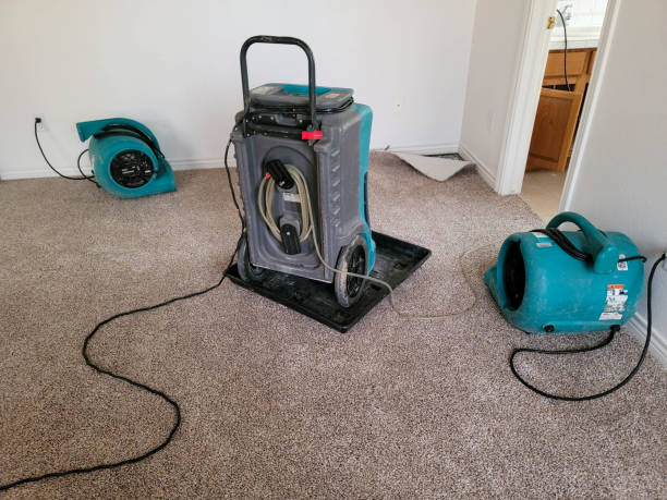 Best Basement water damage restoration  in Camp Hill, AL