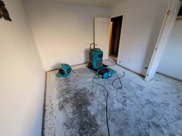 Best Professional water damage repair  in Camp Hill, AL