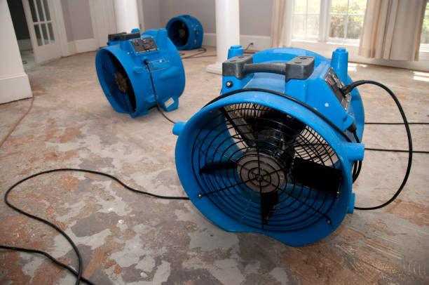Best Water damage cleanup near me  in Camp Hill, AL