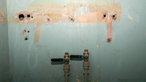 Best Commercial water damage restoration  in Camp Hill, AL
